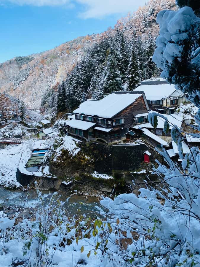 Tokyo/Nagano: private Tour with Snow Monkey Park & Temples - Zenkoji Temple brings the history into focus
