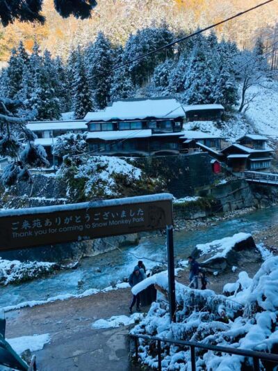 Tokyo/Nagano: private Tour with Snow Monkey Park & Temples