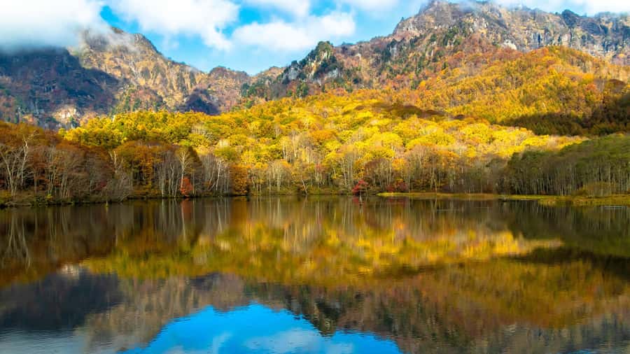 Tokyo/Nagano: private Tour with Snow Monkey Park & Temples - Who will enjoy this trip most