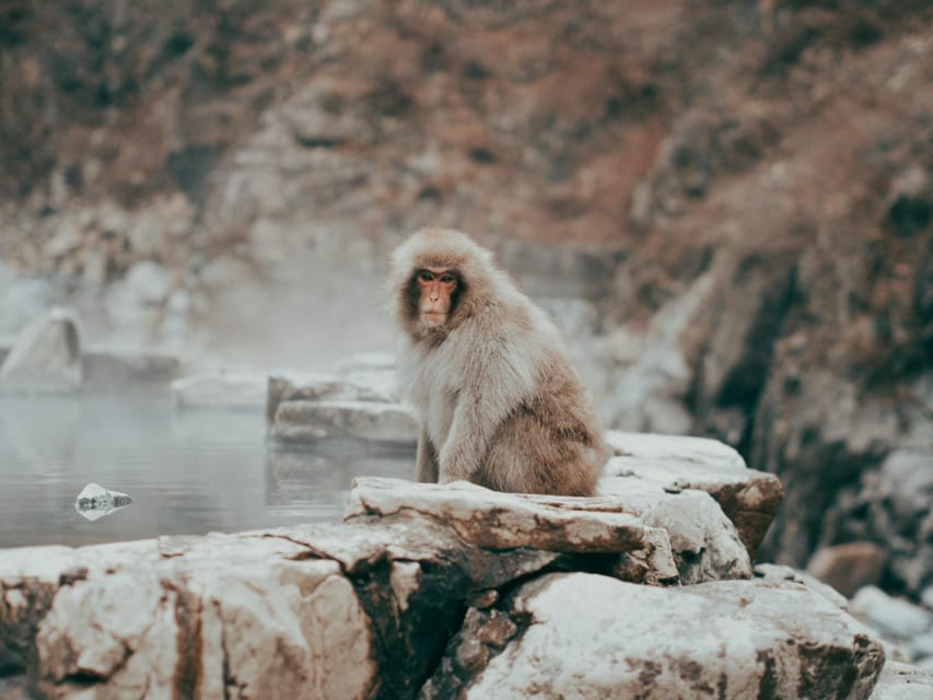 Tokyo: Nagano, Snow Monkeys and Zenko-ji Temple Private Tour - Obuse adds food, streets, and local character