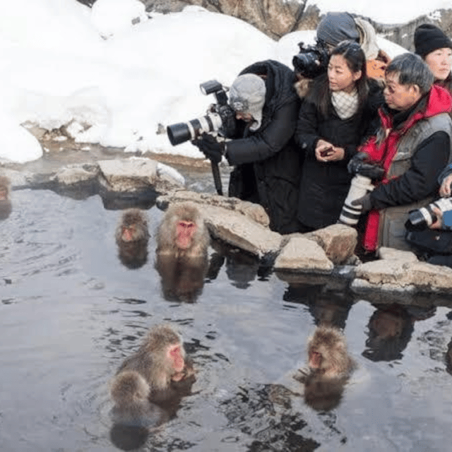 Tokyo: Nagano Snow Monkeys and Zenkoji Tour with Temples - Matsushiro Castle Ruins for a quieter history stop