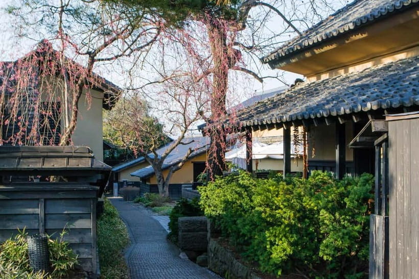 Tokyo: Nagano Snow Monkeys and Zenkoji Tour with Temples - Shibu Onsen, a hot-spring town with old-town atmosphere