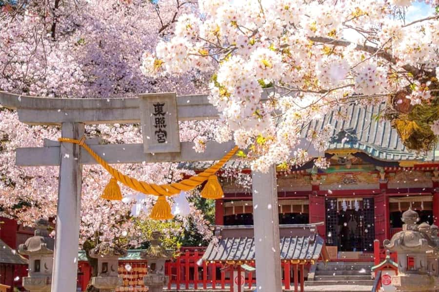 Tokyo: Nikko Day Tour Shrines, Lake Chūzenji & Kegon Falls - Key points to know before booking