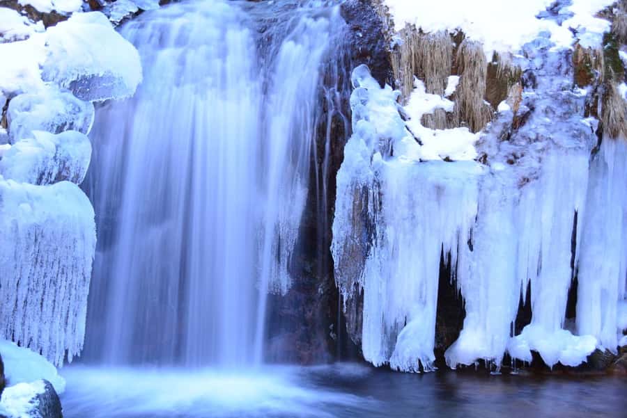 Tokyo: Nikko Day Tour Shrines, Lake Chūzenji & Kegon Falls - What the $500 group price really buys
