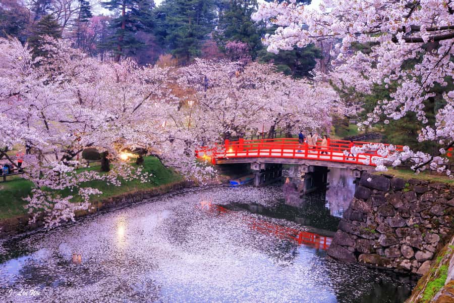 Tokyo: Nikko Day Tour Shrines, Lake Chūzenji & Kegon Falls - Why Nikko makes a strong escape from Tokyo
