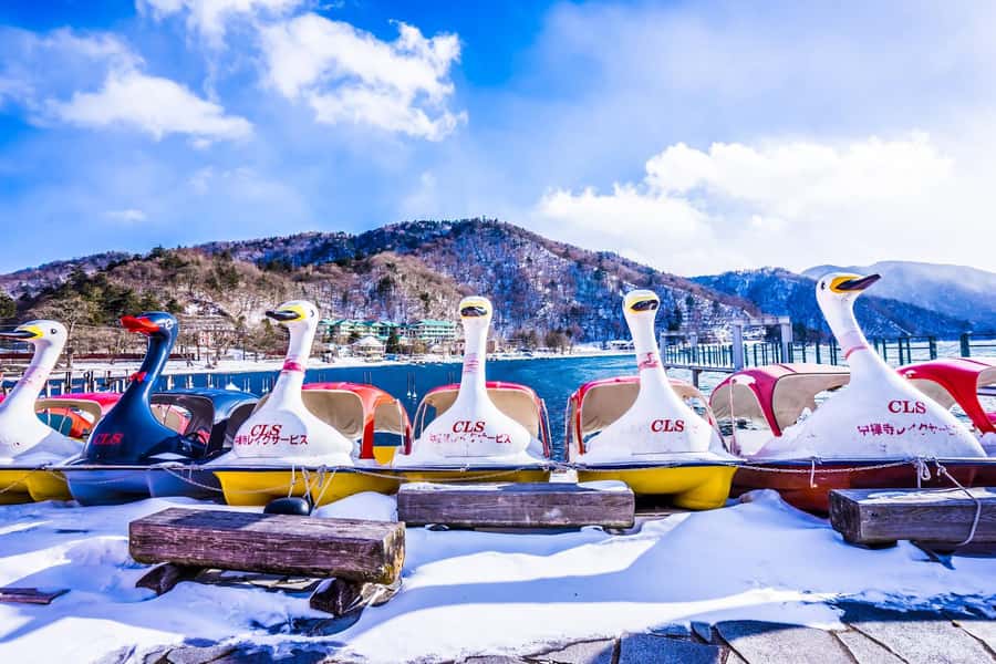 Tokyo: Nikko Day Tour Shrines, Lake Chūzenji & Kegon Falls - The private ride from Tokyo