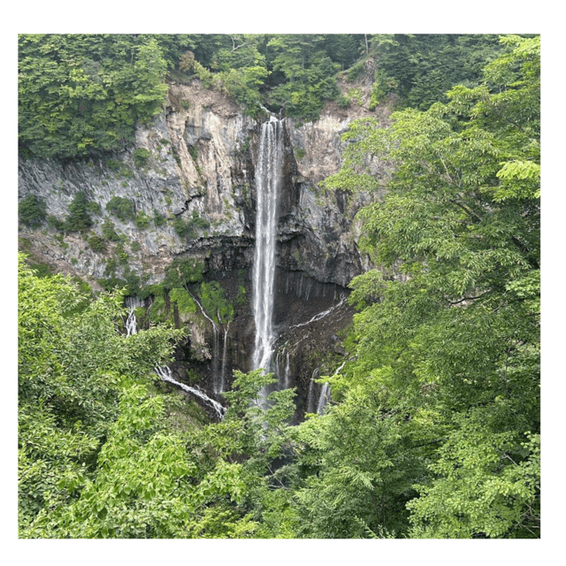 Tokyo: Nikko Kegon Falls Lake Chuzenji Toshogu Temple & More - Shinkyo Bridge, a short stop with a big view