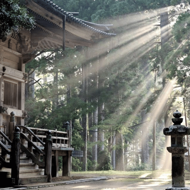 Tokyo: Nikko Kegon Falls Lake Chuzenji Toshogu Temple & More - Edo Wonderland adds a playful history lesson