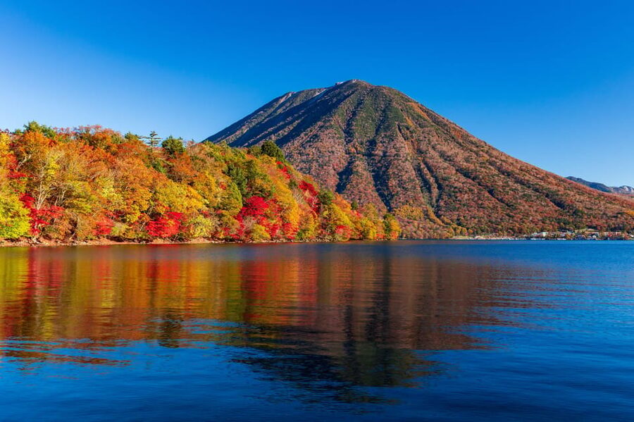 Tokyo: Nikko Toshogu Shrine and Kegon Waterfall Tour - The five things to know before booking