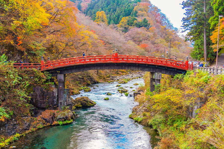 Tokyo Nikko Toshogu Shrine Iroha-zaka Lake Chuzenji Day Tour - Kegon Falls: a short stop with a big view