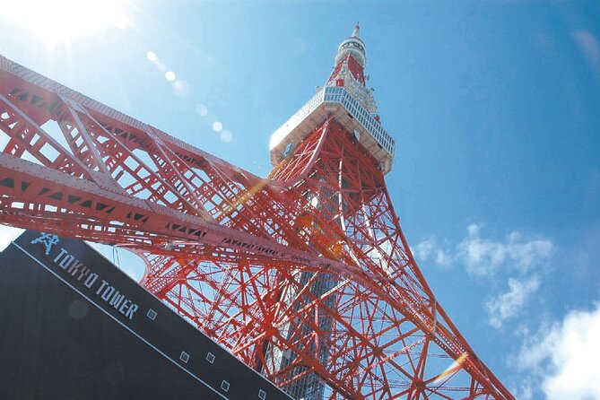 Tokyo Panoramic 1 Day: Meiji Shrine, Asakusa, Odaiba and SKYTREE® - What this Tokyo day tour is really designed to do