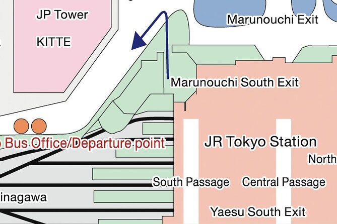 Tokyo Panoramic 1 Day: Meiji Shrine, Asakusa, Odaiba and SKYTREE® - Meiji Jingu: Tokyo’s forested Shinto beginning