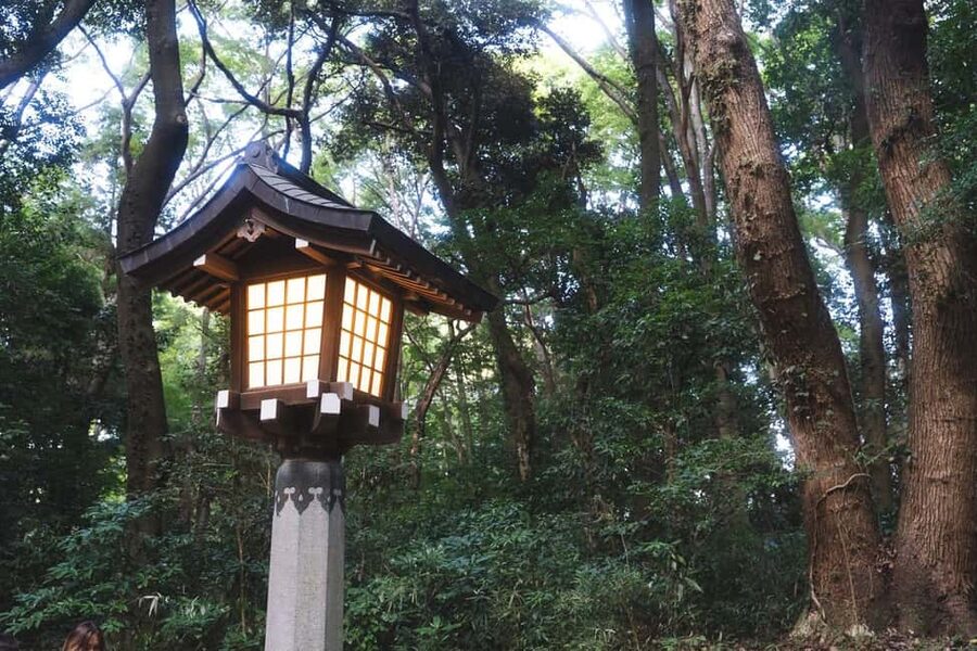 Tokyo: Private Meiji Shrine & Harajuku Highlights Tour - What the guide adds to the walk