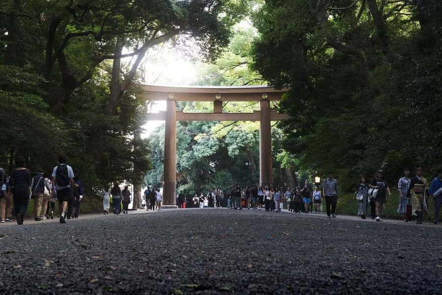 Tokyo: Private Meiji Shrine & Harajuku Highlights Tour - Is $49 a good deal?