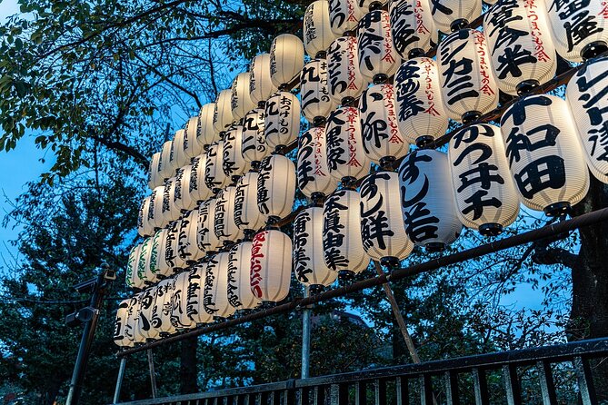 Tokyo Private Tour: Temples, Culture & Modern City Highlights - Shibuya and Shinjuku after dark