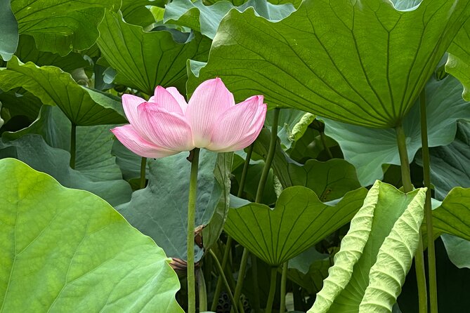 Tokyo Private Tour: Temples, Culture & Modern City Highlights - A quiet pause beside the Sumida River