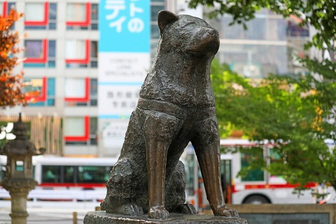 :Tokyo,Shibuya /Meiji Shrine tour in KIMONO/English-friendly - Free time inside Meiji Shrine