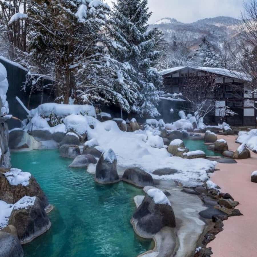 Tokyo: Snow Monkey Park and Zenkoji Temple Private Day Tour - Should you book it?