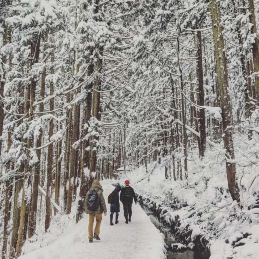 Tokyo: Snow Monkey Park and Zenkoji Temple Private Day Tour - Walking to the Snow Monkey Park