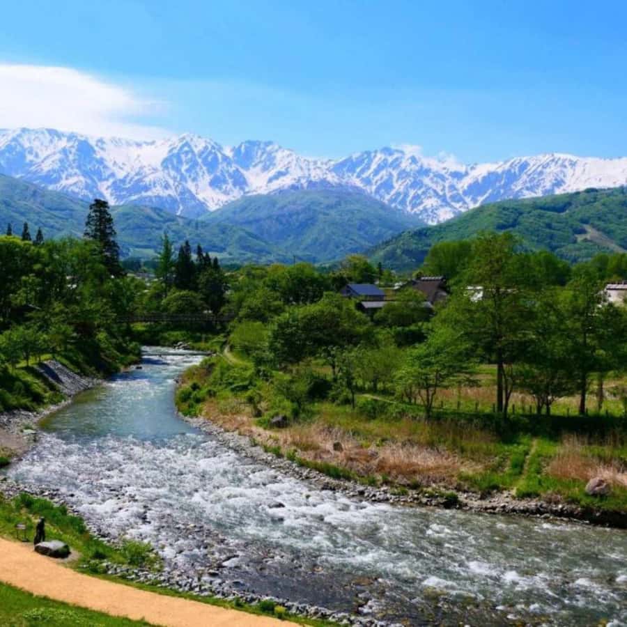 Tokyo: Snow Monkey Park and Zenkoji Temple Private Day Tour - Practical details that affect your choice