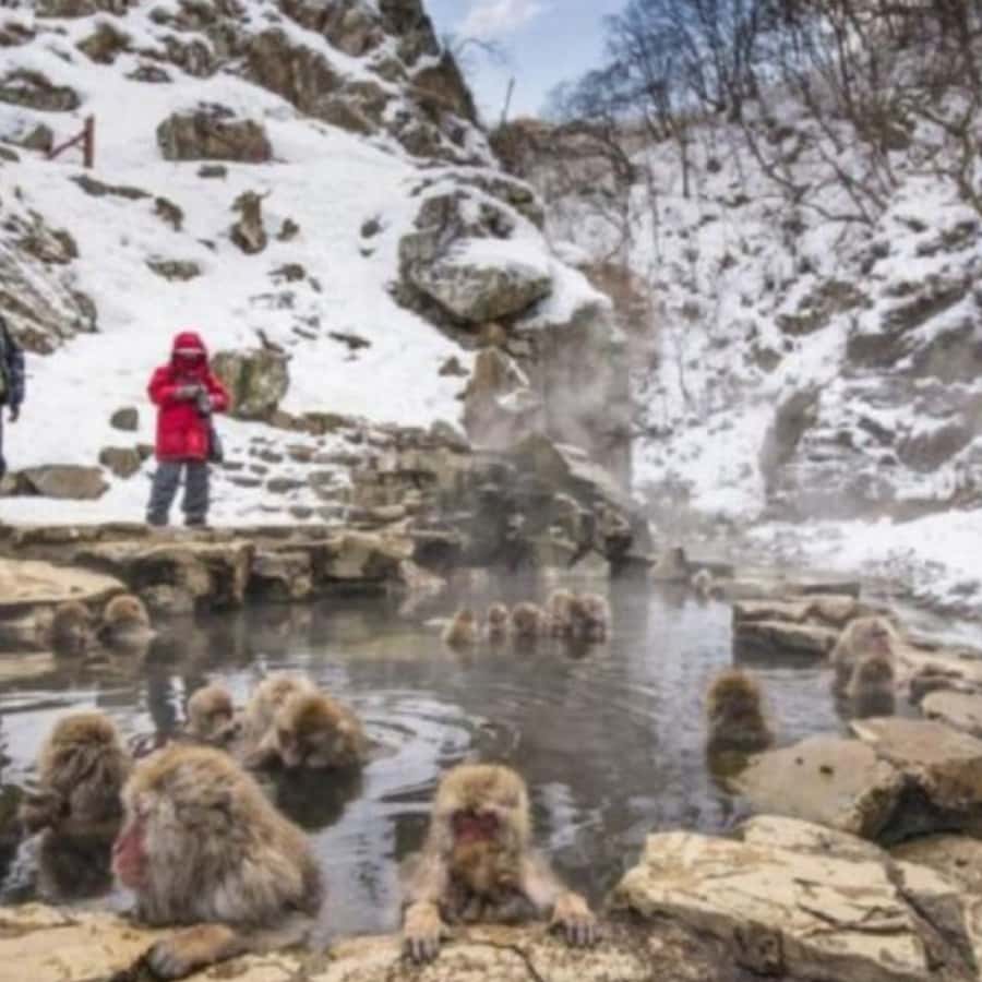 Tokyo: Snow Monkey Park and Zenkoji Temple Private Day Tour - The road from Tokyo to Jigokudani