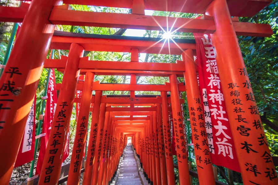 Tokyo: Visit 5 Shrines & Collect Goshuin on Private Tour - Key points to know before booking