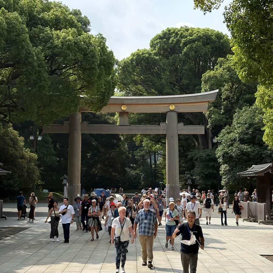 Tokyo: Visit 5 Shrines & Collect Goshuin on Private Tour - Yasukuni Shrine: remembrance and seasonal beauty