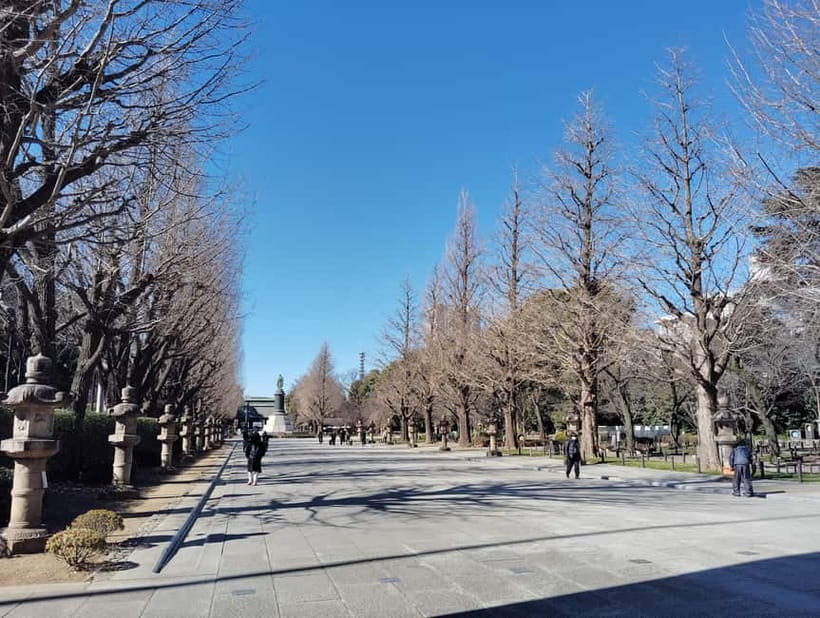 Tokyo War History Tour: Yasukuni Shrine & War Museum - Timing, walking, and practical preparation