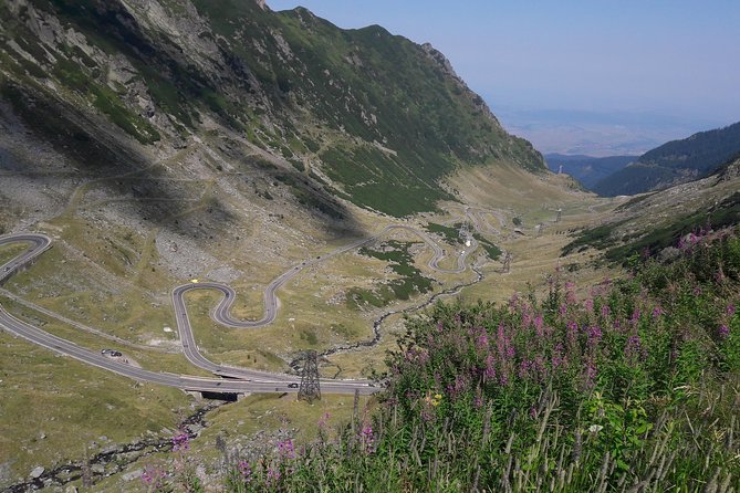 Transfagarasan Highway Balea Lake and Carta Monastery from Brasov - Which guide experience can you expect?
