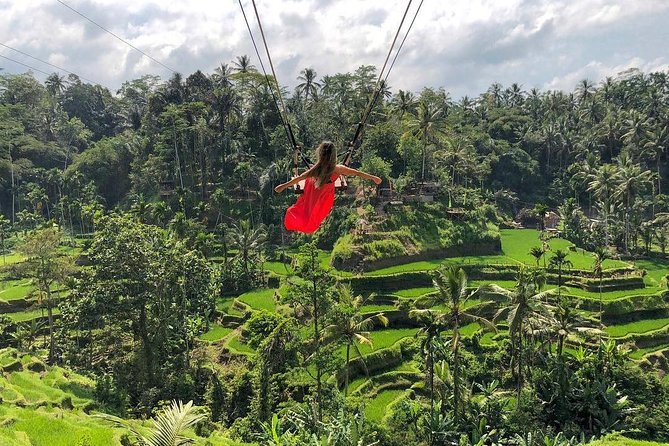 Ubud: Monkey Forest, Jungle Swing, Rice Terrace, and Water Temple - Why this private Ubud day works well