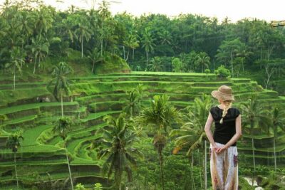 Monkey Forest, Jungle Swing, Rice Terrace, and Water Temple