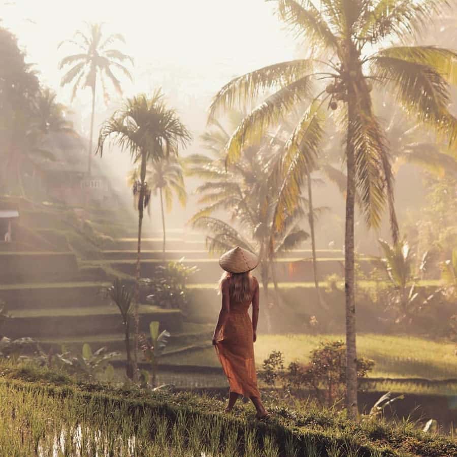 Ubud Monkey Forest, Temple, Rice Terrace and Waterfall Tour - Why this $24 Ubud day can be good value