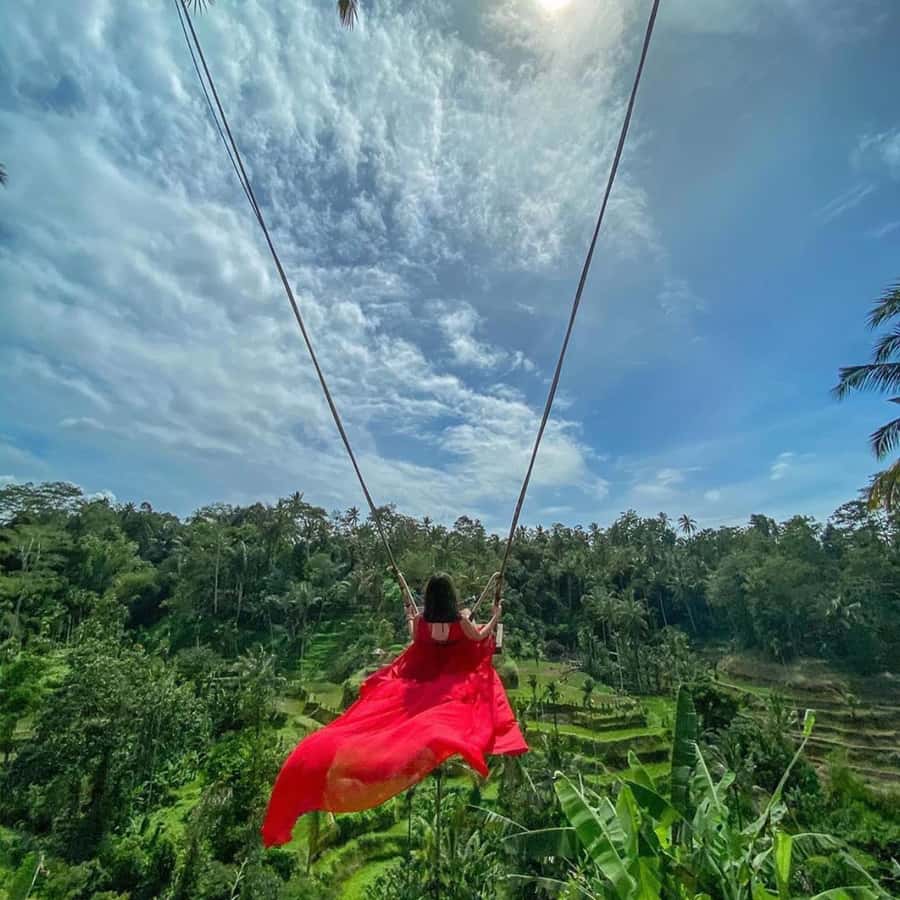 Ubud Monkey Forest, Temple, Rice Terrace and Waterfall Tour - Tegallalang Rice Terraces and Bali’s farming culture