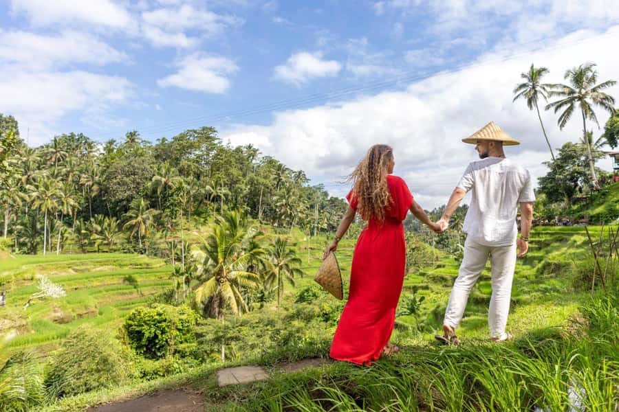 Ubud Monkey Forest, Temple, Rice Terrace and Waterfall Tour - Lunch with rice-field views