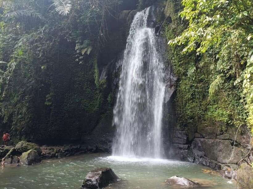 Ubud: Monkey Forest, Temple, Rice Terraces, Hidden Waterfall - Who will get the most from this day