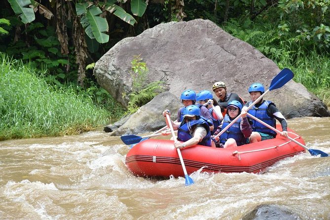 Ubud Rafting - Rice Terrace - Tegenungan Waterfall - Tanah Lot Sunset Temple - Who should book this tour