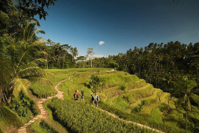 Ubud Rafting - Rice Terrace - Tegenungan Waterfall - Tanah Lot Sunset Temple - Tegalalang Rice Terrace in one hour