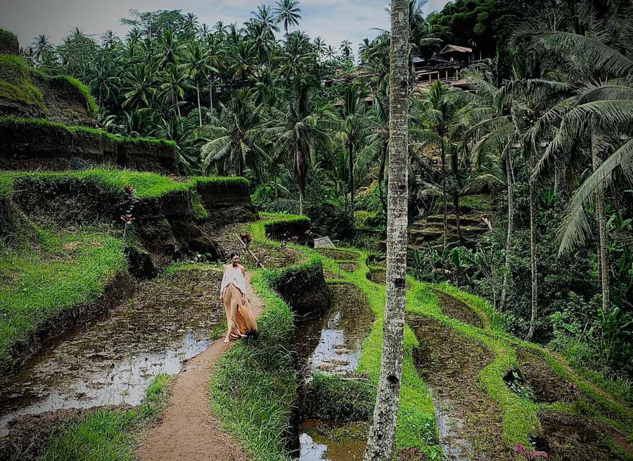 Ubud: Rice Terrace, Holy Water Temple & Waterfalls Trek Tour - Kanto Lampo: tiered water and strong photographs