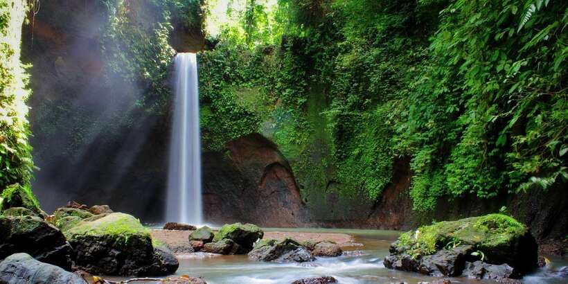 Ubud: Rice Terrace, Holy Water Temple & Waterfalls Trek Tour - What to pack and what to wear