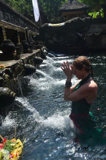 Ubud: Rice Terraces, Water Temple, & Waterfalls Private Tour - Who should book this Bali tour?