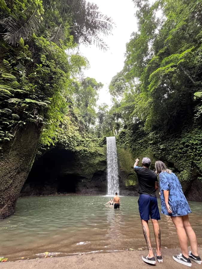 Ubud: Rice Terraces, Water Temple, & Waterfalls Private Tour - Tegallalang rice terraces beyond the famous photos