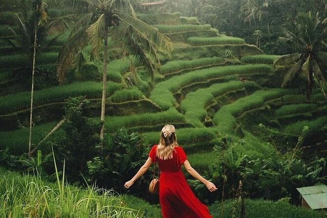Ubud: Swing - Monkey Forest - Waterfall - Temple - Rice Terraces - Art Crafts - Why this private Ubud day works well
