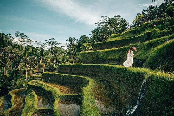 Ubud: Swing - Monkey Forest - Waterfall - Temple - Rice Terraces - Art Crafts - Tegallalang Rice Terrace shows Bali’s working countryside