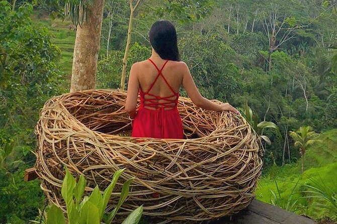Ubud: Swing - Monkey Forest - Waterfall - Temple - Rice Terraces - Art Crafts - Gallery Ada Garuda offers a quieter final stop