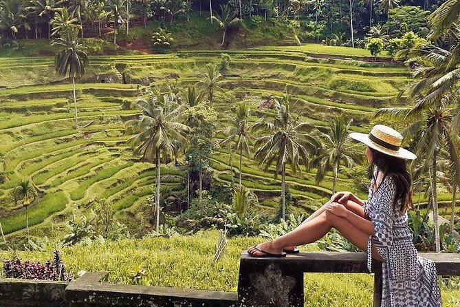 Ubud: Swing - Monkey Forest - Waterfall - Temple - Rice Terraces - Art Crafts - The vehicle and guide matter more than usual