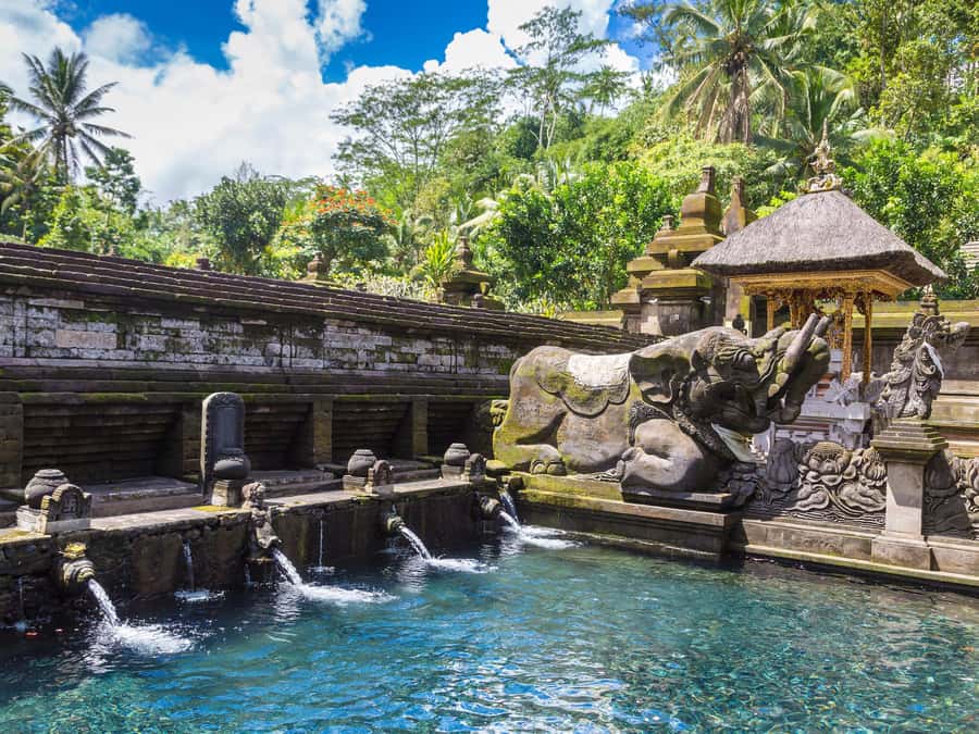 Ubud: Tirta Empul Water Purification Ritual, Private Tour - Who should book this Ubud experience?