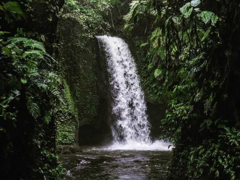 Ubud: Tirta Empul Water Purification Ritual, Private Tour - Private transport is the tour’s biggest practical advantage