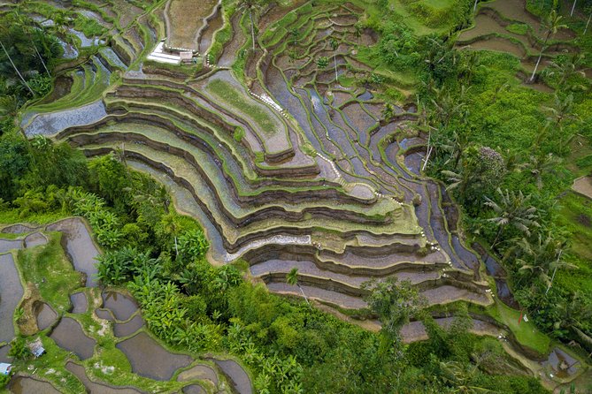 Ubud Top Attractions: Waterfalls, Temples and Rice Terraces - Lunch at D Alas Warung with a jungle view
