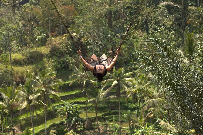 Ubud Top Attractions: Waterfalls, Temples and Rice Terraces - The private driver makes the schedule workable