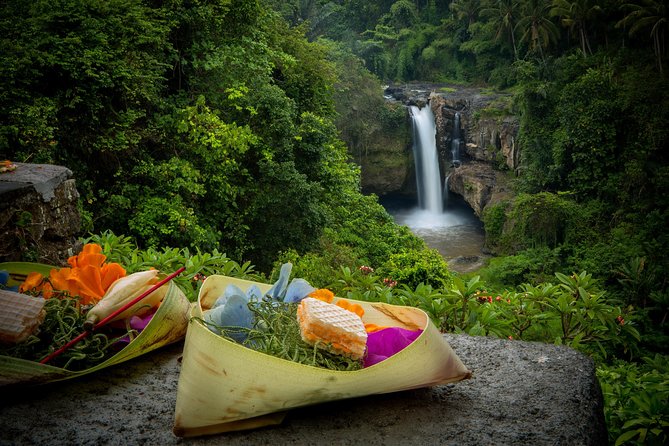 Ubud Tour with Swing, Temple, Monkey Forest, and Waterfall - Happy Swing Bali: The Tour’s Most Photogenic Hour